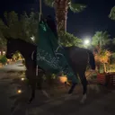 @ashamoukh