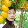 dungthuy28767