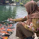 @alfeandraagratara