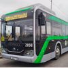 ruslan_busses