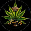 @s.shankar.333