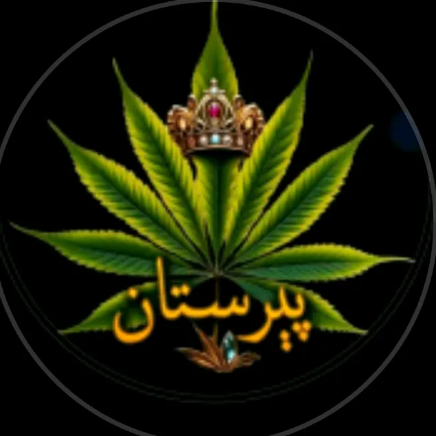 @s.shankar.333