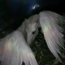 @7ntq1