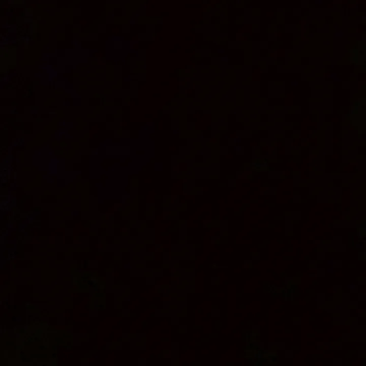 @genjor619