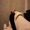 tuncayirtekinn