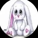 @arinfws