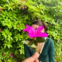 @sankalpachaudhary13