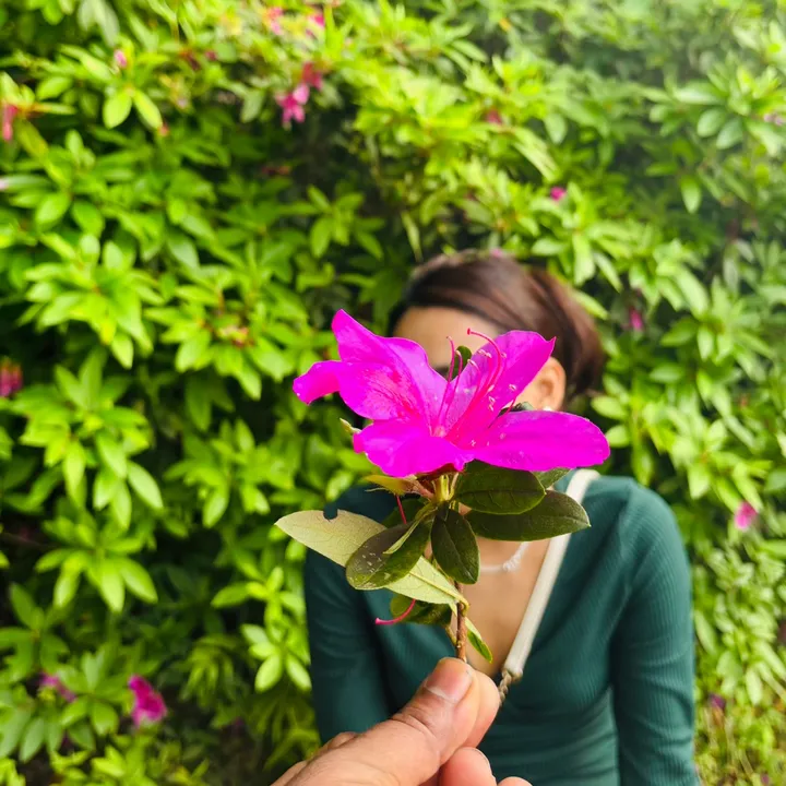 sankalpachaudhary13