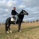 @isa.kapaklikaya