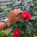 @menaslzheyat86