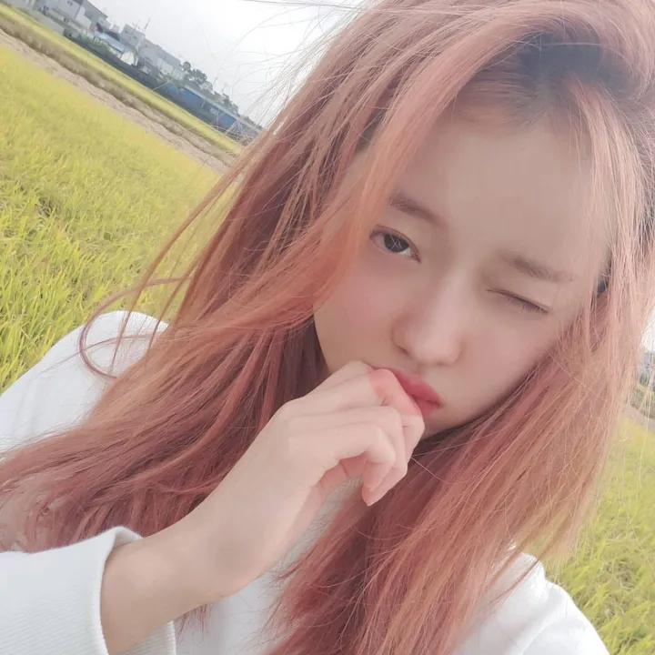 @yooashamoe