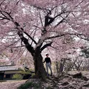 @stanthejapanman