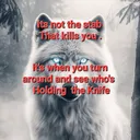 @lone_wolf_8886