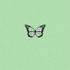 sally_alhalabi1