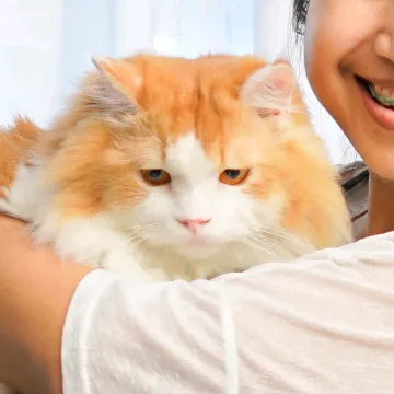 chikohachiko