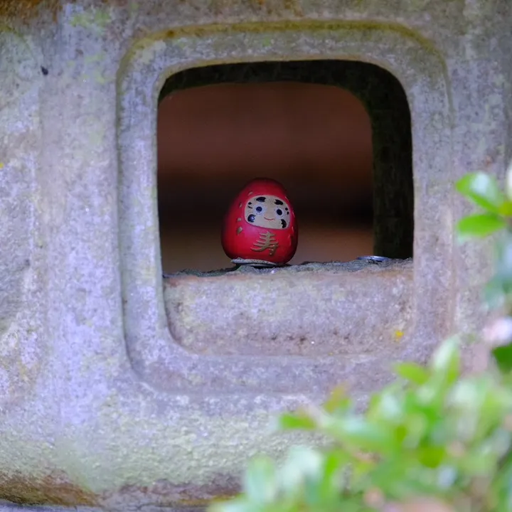 daruma920