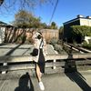 jasminpakhrin0