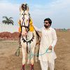 lord.gujjar