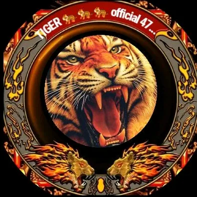@tigerreturn47