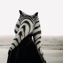 @amorighoul