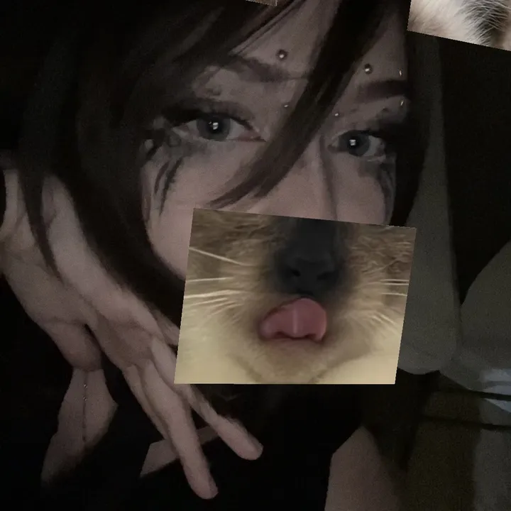 dhampi_