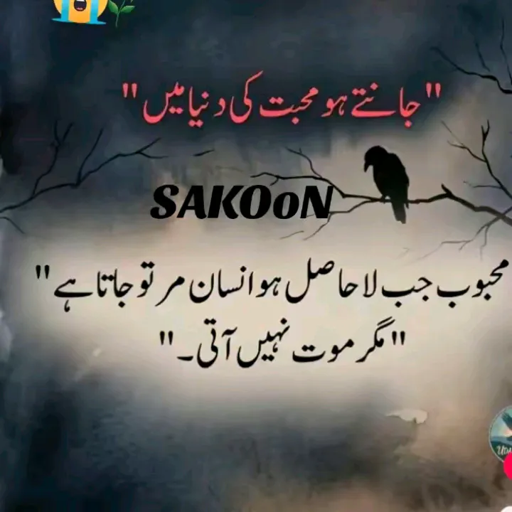 @manobilli3105