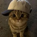 @call.me_zill