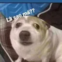 @htsgudcv