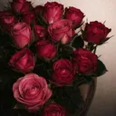 @izma_.99