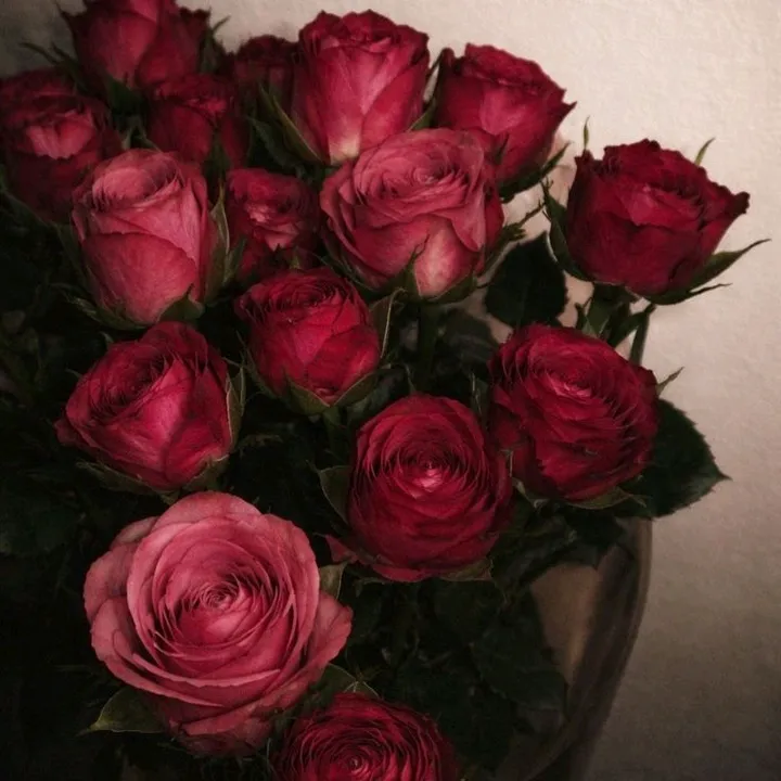 @izma_.99