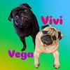 vivi.vega.ponti