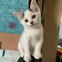 @np0412_