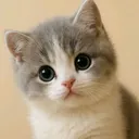 @meowmagic83