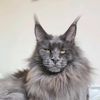 ragnar_the_mc