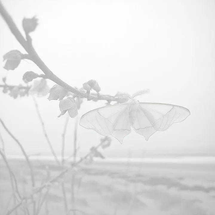 ocsanctuary