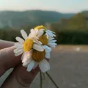 @bahar_ilkee