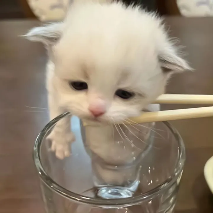 souulkiss
