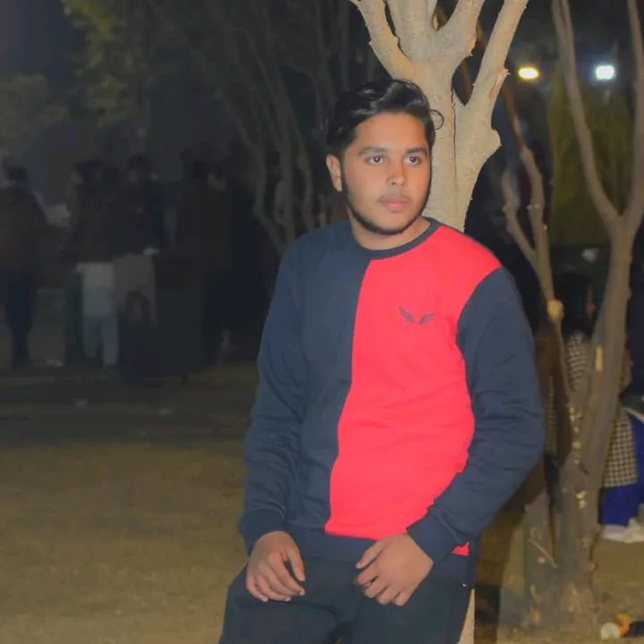 malikhider04