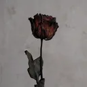 @ftoosh69