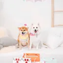 @lifewithmochimocha