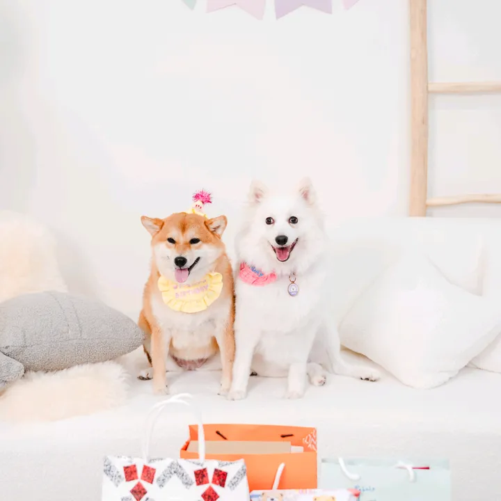 @lifewithmochimocha
