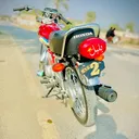 @golden.number.hond