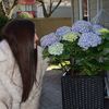 hotgirlgarden