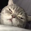@xiiuuqr