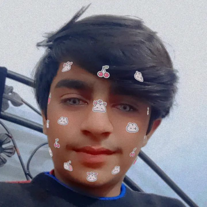 syed.badshah.12147