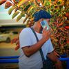 neshzz_here