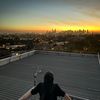 melbdecay