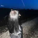 @lerkiss586
