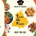 @treatsofpunjab