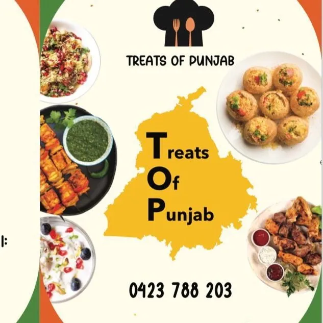 treatsofpunjab